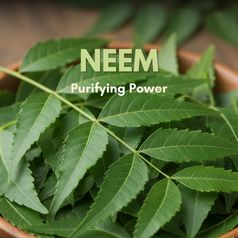 Neem